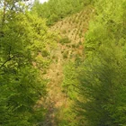 20112308130806-497.jpg